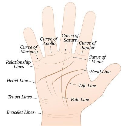 Palm Lines Meaning